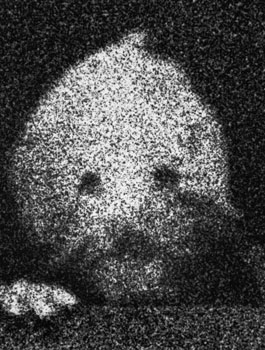 From the series "22474"