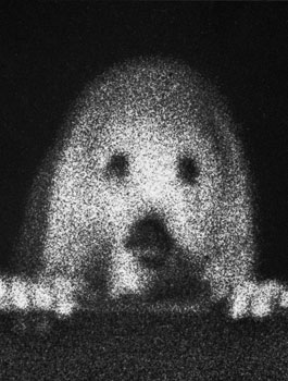 From the series "22474"