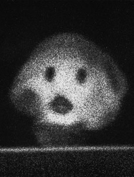 From the series "22474"