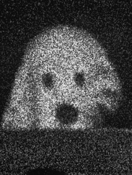 From the series "22474"