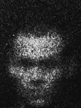 From the series "22475"