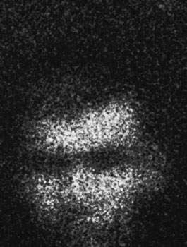 From the series "22475"