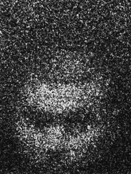 From the series "22475"