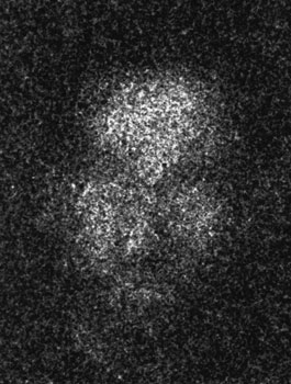 From the series "22475"