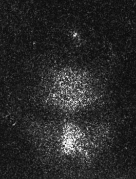 From the series "22475"