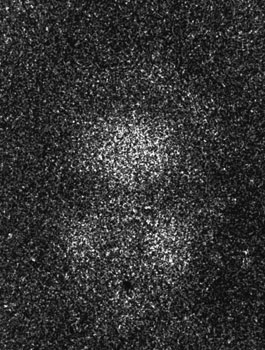 From the series "22475"