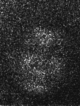 From the series "22475"