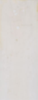 PMC/P.M.I. passport #8